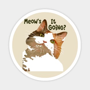 Meows It Going Fun Cat Meme Question Magnet